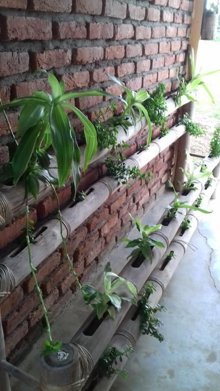 Longchen Homestay Dimapur Екстер'єр фото